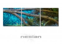 /album/nesian-artwork/n1-copy-jpg/